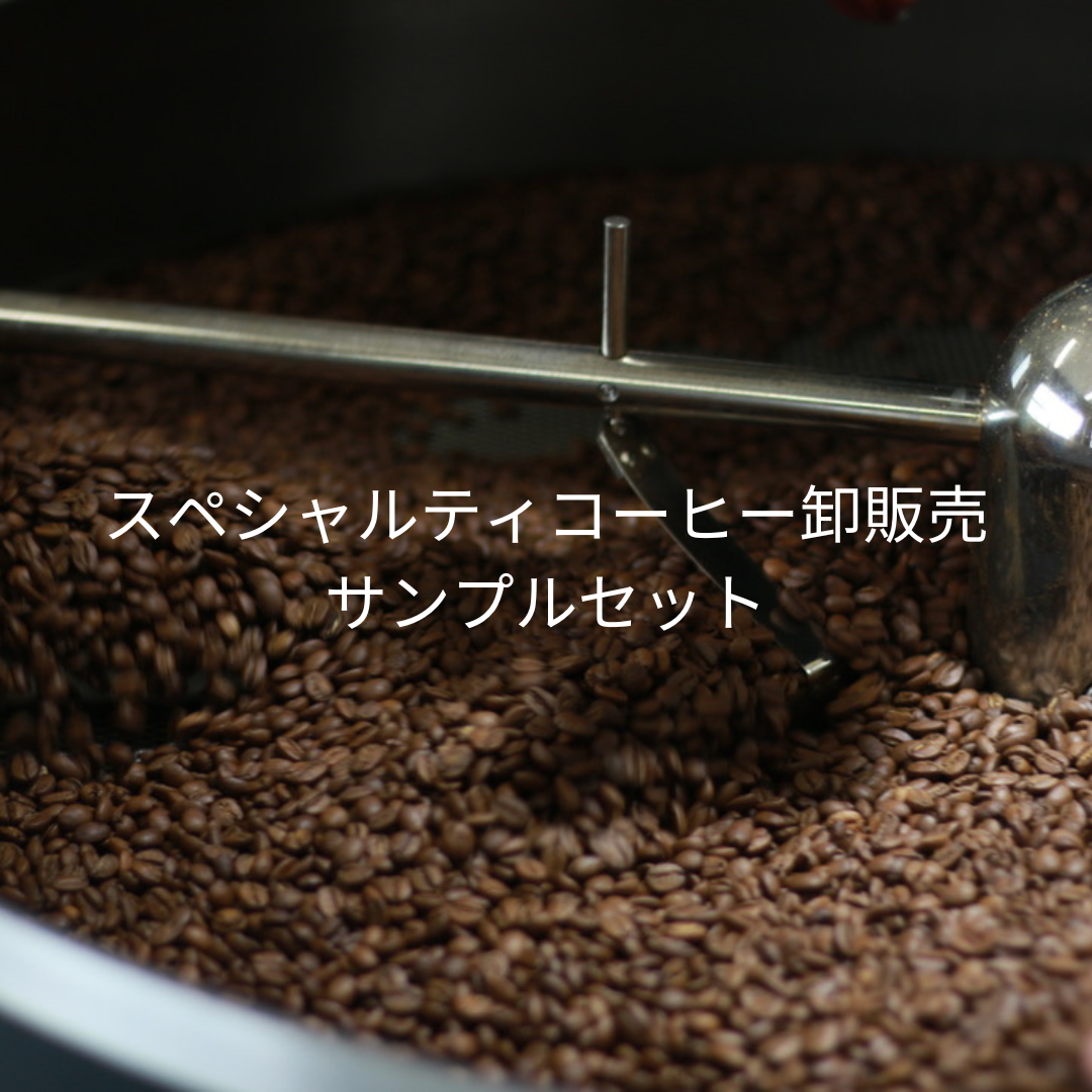 スペシャルティコーヒー卸販売 サンプルセット