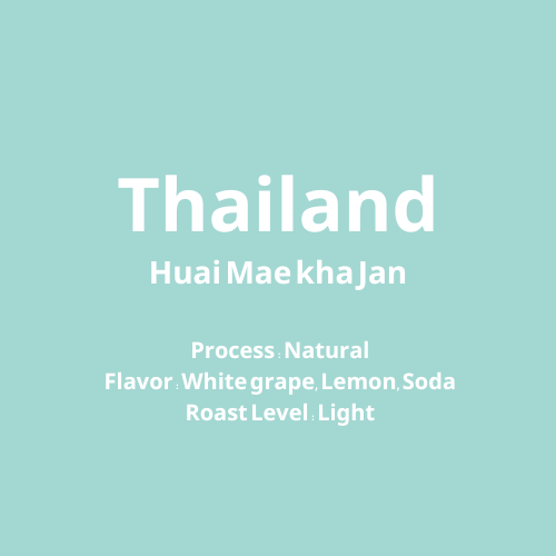 タイ Huai Mae kha Jan Natural【浅煎り】