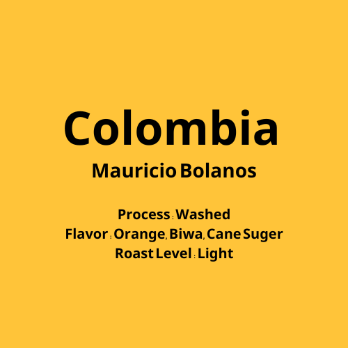 コロンビア Mauricio Bolaños Washed 【浅煎り】