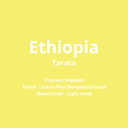 エチオピア Taratu Washed【浅煎り】