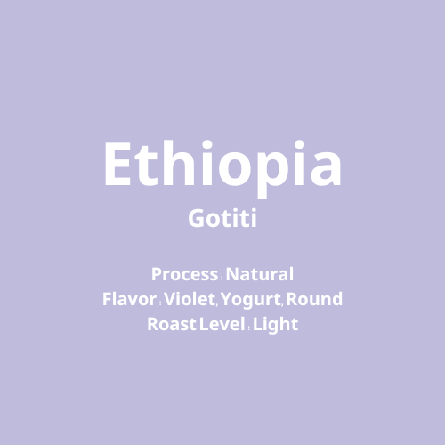 エチオピア Gotiti Natural【浅煎り】