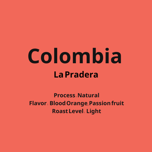 コロンビア Colombia La Pradera【浅煎り】