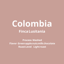 コロンビア Finca Lusitania Washed【浅煎り】