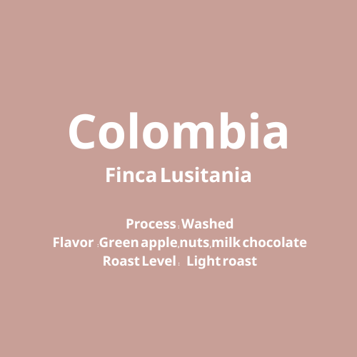 コロンビア Finca Lusitania Washed【浅煎り】