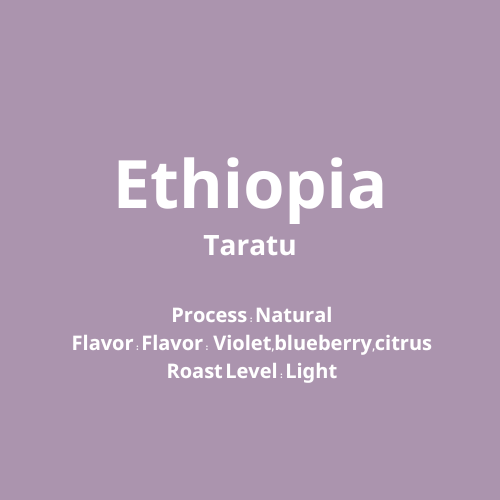 エチオピア　Taratu Natural【浅煎り】