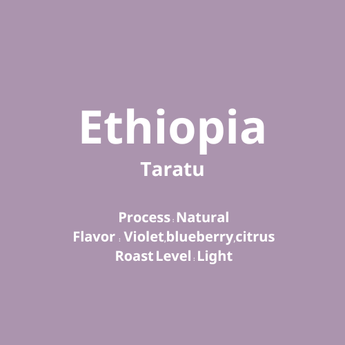 エチオピア　Taratu Natural【浅煎り】