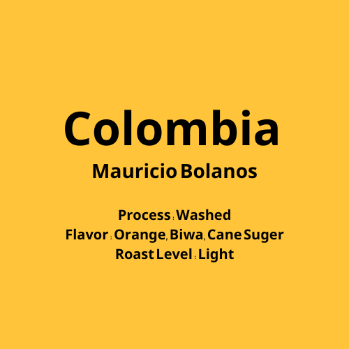 コロンビア　Mauricio Bolaños Washed 【浅煎り】
